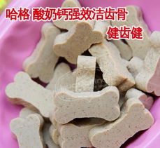寵物零食批發(fā)采購(gòu)指南 廠家、價(jià)格與OEM代加工全解析