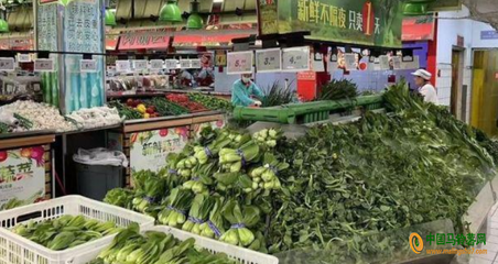 江蘇蔬菜價格小幅上揚(yáng)，新鮮蔬菜零售市場動態(tài)分析